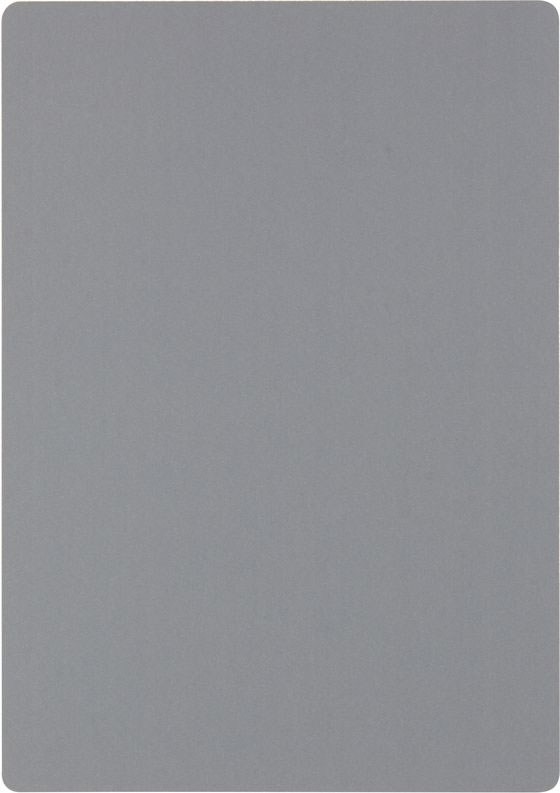 レイメイ 大人の魔法のザラザラ下じき A5 U1257N 1枚（ご注文単位1枚）【直送品】