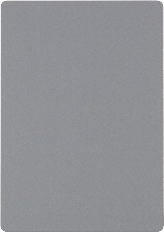 レイメイ 大人の魔法のザラザラ下じき B6 U1258N 1枚（ご注文単位1枚）【直送品】