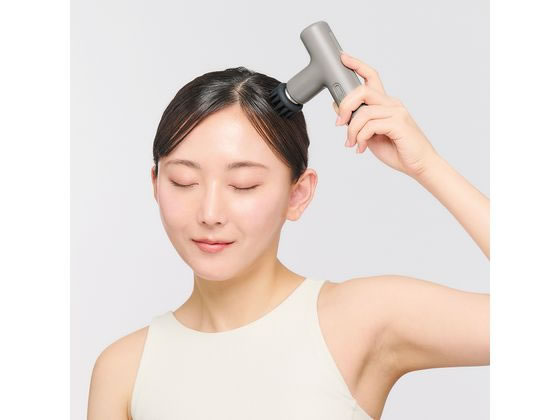 DOCTOR AIR エクサガン LUXE ダスティグレー REG-12GR 1個(ご注文単位1個)【直送品】