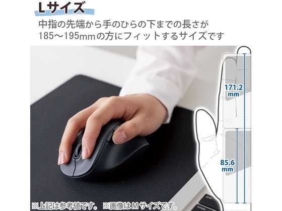 エレコム 無線マウス EX-G Bluetooth 5ボタン Lサイズ ブラック 1個（ご注文単位1個）【直送品】