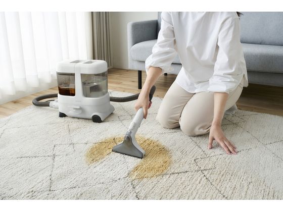 アイリスオーヤマ 大容量リンサークリーナー グレーホワイト RNS-P1600 1台（ご注文単位1台）【直送品】