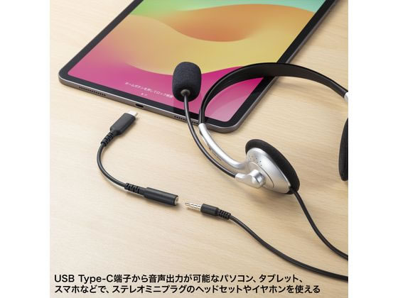 サンワサプライ Type-Cオーディオ変換アダプタ MM-ADUSBTC4TK 1個(ご注文単位1個)【直送品】