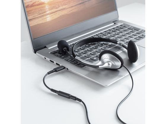 サンワサプライ Type-Cオーディオ変換アダプタ MM-ADUSBTC4TK 1個(ご注文単位1個)【直送品】