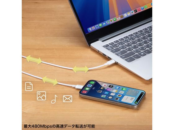 サンワサプライ USB 2.0 Type-Cケーブル 2m ホワイト KU-CCP6020W 1本（ご注文単位1本）【直送品】