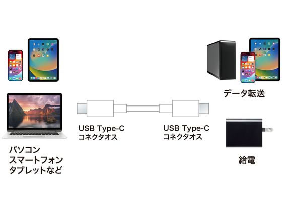 サンワサプライ USB 2.0 Type-Cケーブル 2m ホワイト KU-CCP6020W 1本（ご注文単位1本）【直送品】