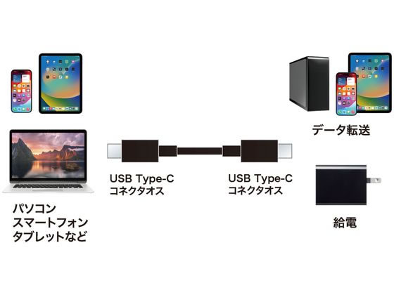 サンワサプライ USB 2.0 Type-Cケーブル 3m ブラック KU-CCP6030BK 1本（ご注文単位1本）【直送品】