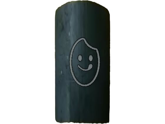 グローバル・ジャパン う米炊きマイスター 竹炭ちゃん 2個入 1パック（ご注文単位1パック）【直送品】