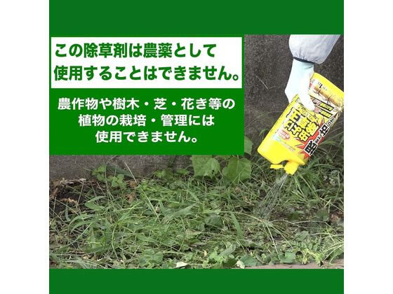 フマキラー 根まで枯らす虫よけ除草王プレミアム 4.8L 1個（ご注文単位1個）【直送品】