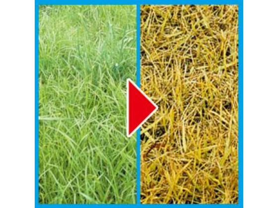 フマキラー オールキラー粒剤 900g 1個(ご注文単位1個)【直送品】