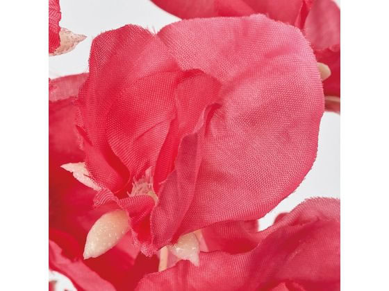 東京堂 ジュディスイトピーバンドル ライトレッド #3 LTRED 1個(ご注文単位1個)【直送品】