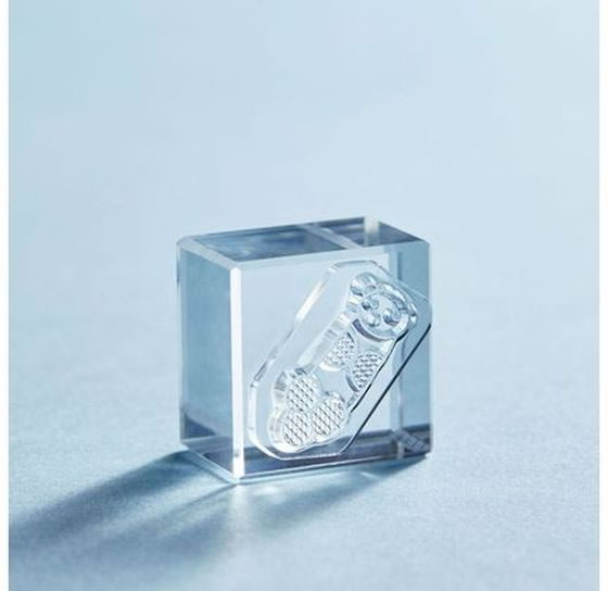 キングジム 透明スタンプ 氷印 ラッコ CLSA22-003 1個(ご注文単位1個)【直送品】