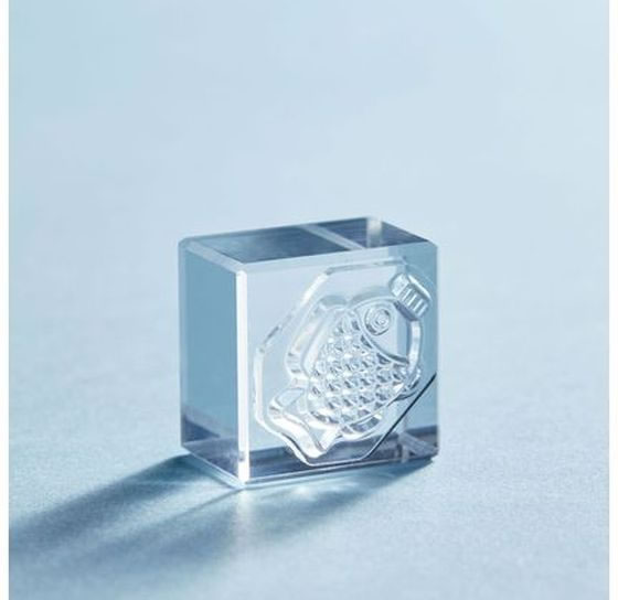 キングジム 透明スタンプ 氷印 ショウユイレ CLSA22-005 1個(ご注文単位1個)【直送品】