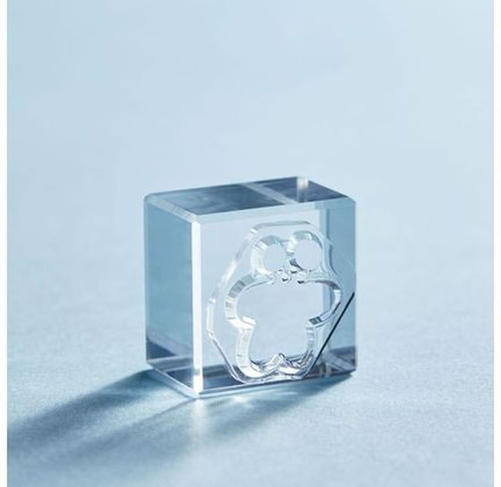 キングジム 透明スタンプ 氷印 ヌイグルミ CLSA22-007 1個(ご注文単位1個)【直送品】