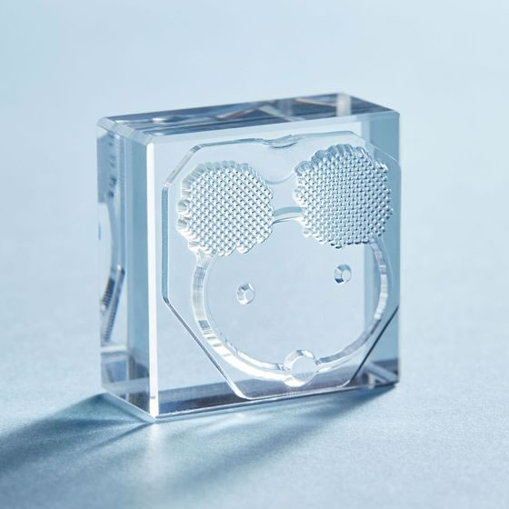 キングジム 透明スタンプ 氷印 クマ CLSA33-003 1個(ご注文単位1個)【直送品】