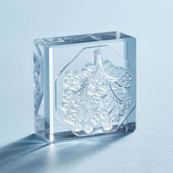 キングジム 透明スタンプ 氷印 ヒカリサク CLSA33-010 1個(ご注文単位1個)【直送品】