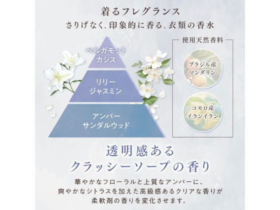 NSファーファJ ファインフレグランス レイヤリングウォッシュ 570g 1個（ご注文単位1個）【直送品】