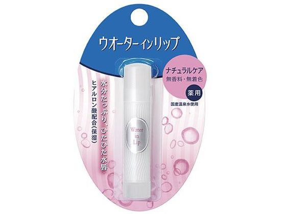 ファイントゥデイ ウォーターインリップ 薬用スティックNF f 1個（ご注文単位1個）【直送品】