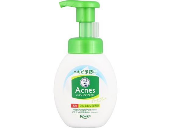 ロート製薬 メンソレータムアクネス薬用 ふわふわな泡洗顔 本体160mL 1個（ご注文単位1個）【直送品】
