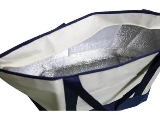 オカザキ Frieze&Go BIG保冷バッグ 1個(ご注文単位1個)【直送品】