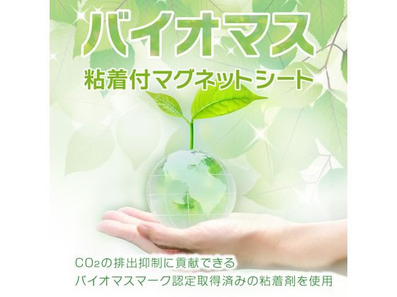 マグエックス バイオマス粘着付マグネットシート 大 (ご注文単位)【直送品】