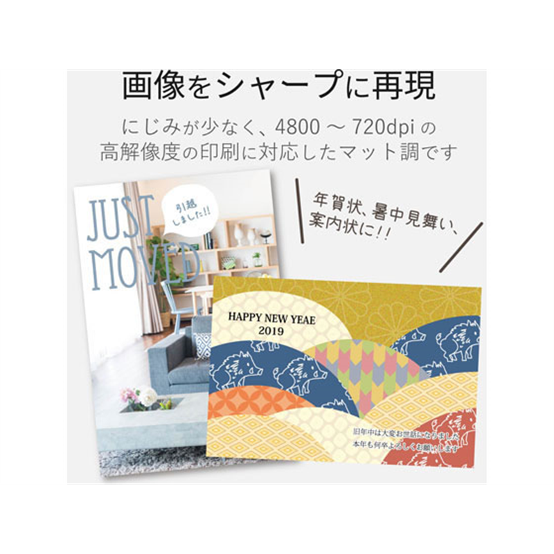 エレコム 料金別納枠入はがき カット済 100枚 EJH-BH100 1冊（ご注文単位1冊）【直送品】