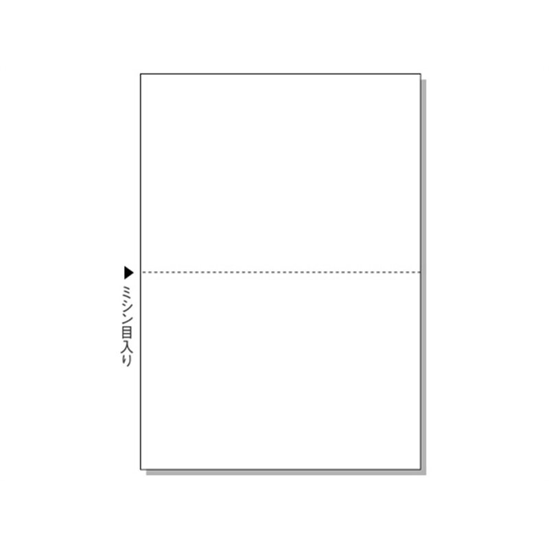 ヒサゴ マルチプリンタ帳票 A4 白紙 2面 2500枚 BPE2002 1箱（ご注文単位1箱）【直送品】
