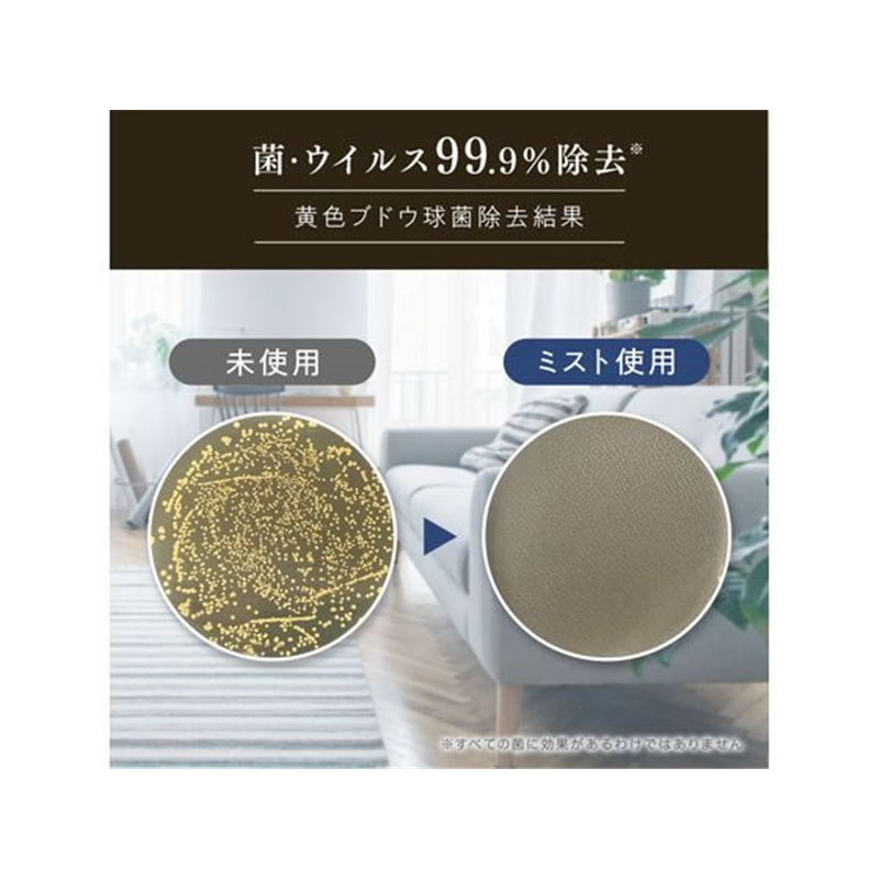 NSファーファジャパン ファインフレグランス ファブリックミスト オム 300mL 1個（ご注文単位1個）【直送品】