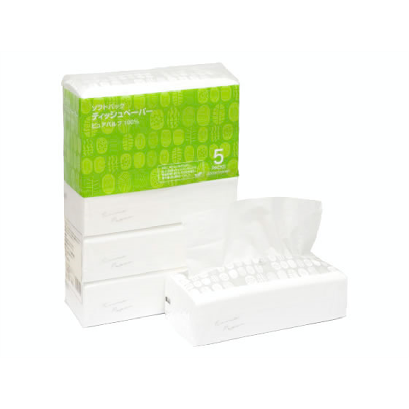 Forestway ソフトパックティッシュ 200組×5個 1パック（ご注文単位1パック）【直送品】