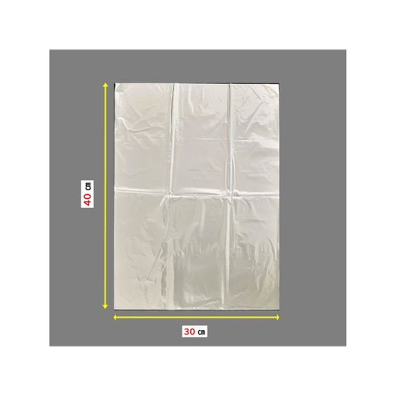 ジャパックス 鮮度保持保存袋 L 15枚 1袋（ご注文単位1袋）【直送品】