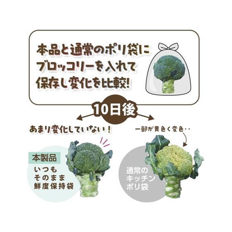 ジャパックス 鮮度保持保存袋 L 15枚 1袋（ご注文単位1袋）【直送品】
