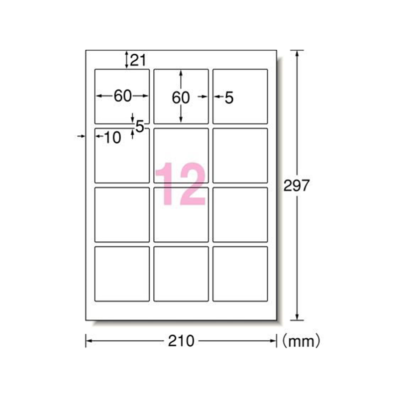 エーワン ラベルシール 水に強い パッケージラベル A4 12面 20シート 1パック（ご注文単位1パック）【直送品】