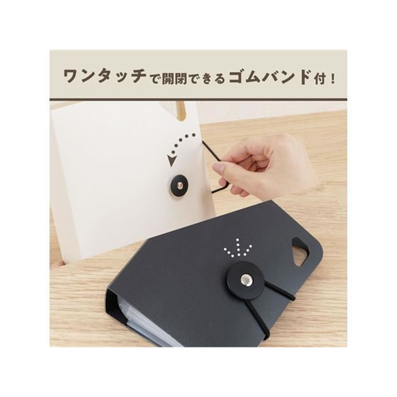 ナカバヤシ かたづくファイル mini ホワイト DF-KTDF-MN-W 1冊（ご注文単位1冊）【直送品】
