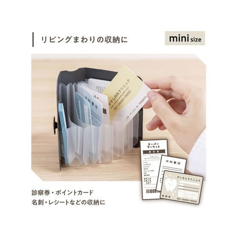 ナカバヤシ かたづくファイル mini ホワイト DF-KTDF-MN-W 1冊（ご注文単位1冊）【直送品】