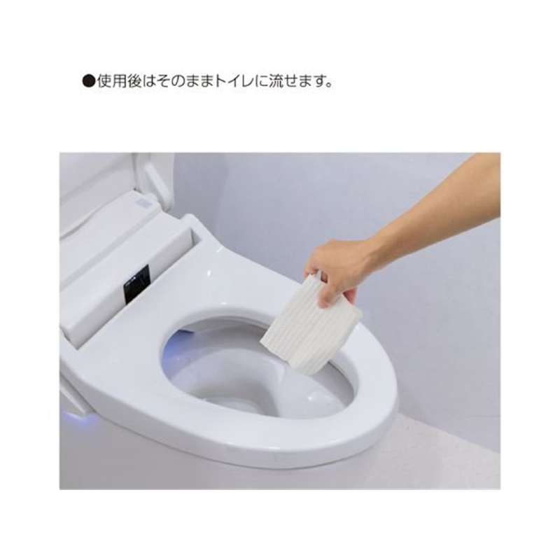 コクヨ Hibifull 流せるトイレのお掃除シート せっけん12枚 2個 1パック（ご注文単位1パック）【直送品】