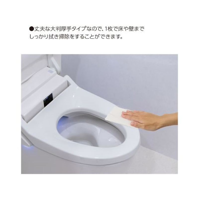 コクヨ Hibifull 流せるトイレのお掃除シート ミント 12枚 2個 1パック（ご注文単位1パック）【直送品】