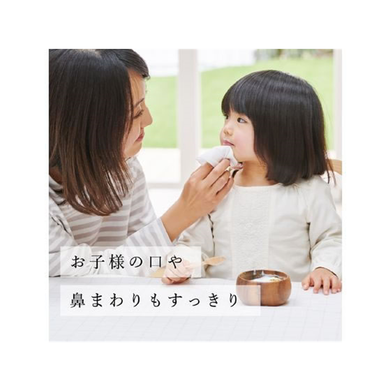 大王製紙 エリエールウエット贅沢保湿ボックス本体50枚 1個（ご注文単位1個）【直送品】
