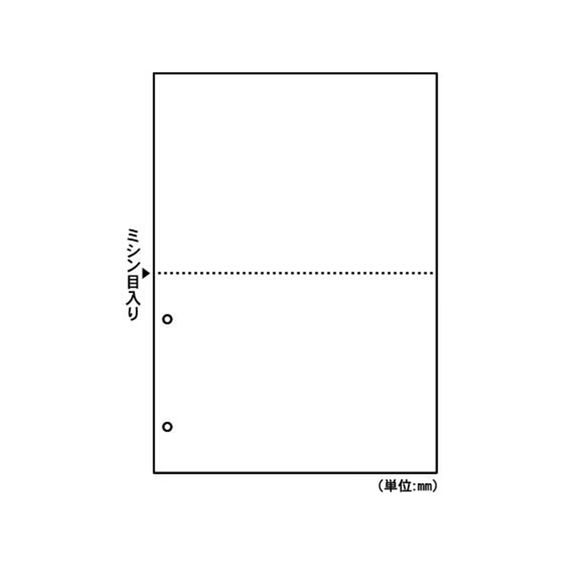ヒサゴ マルチプリンタ帳票 A4 白紙 2面 2穴 100枚 FSC2084 1冊（ご注文単位1冊）【直送品】