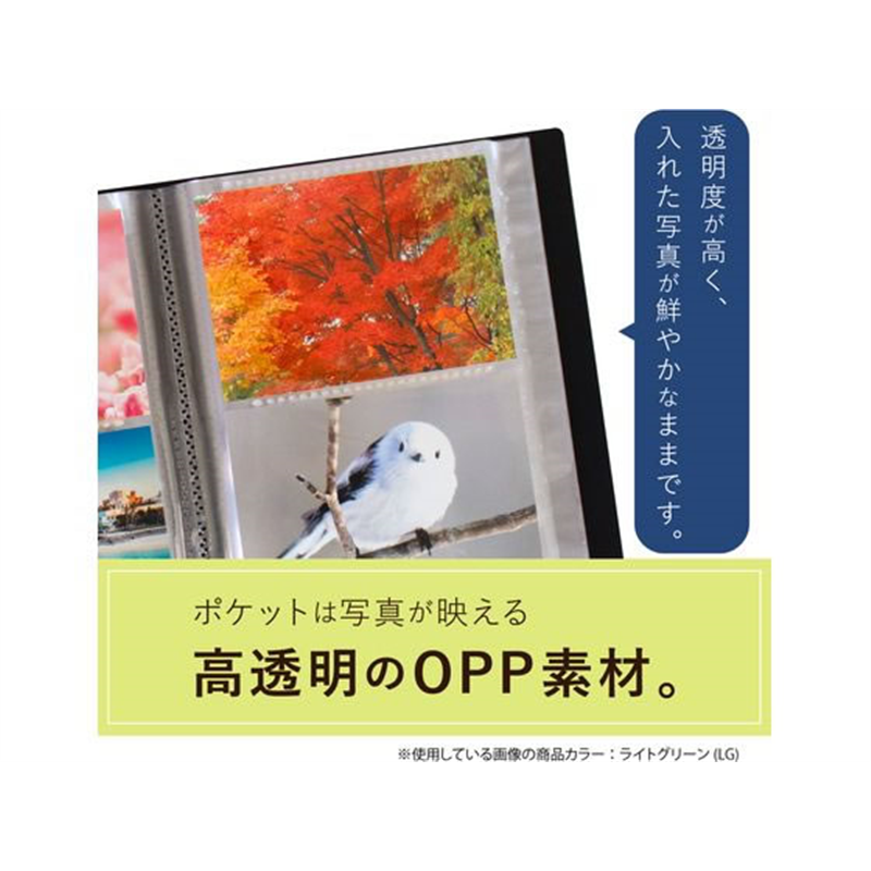セキセイ フォトアルバム 高透明 Lサイズ 300枚 ホワイト KP-300-70 1冊(ご注文単位1冊)【直送品】
