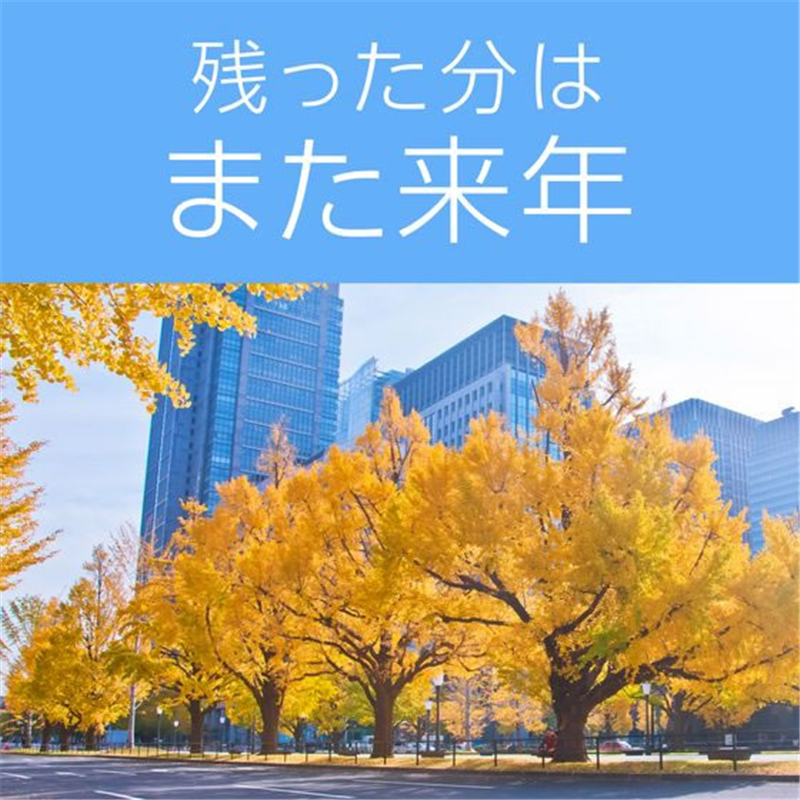 アース製薬 アースノーマット 180日セット 蚊とり黒ブタ 1個（ご注文単位1個）【直送品】