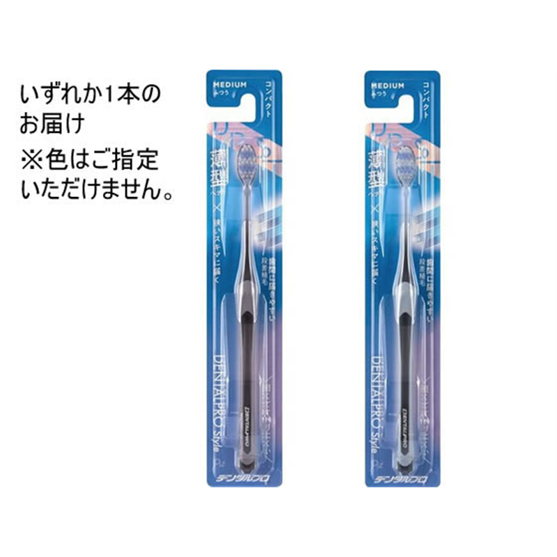 デンタルプロ スタイル ピット ふつう 1個（ご注文単位1個）【直送品】