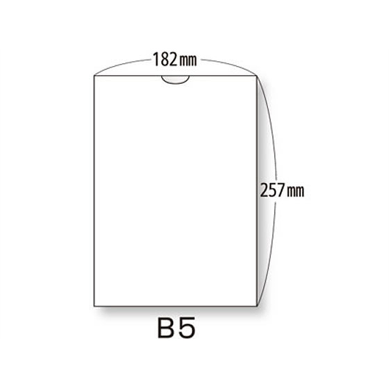 東杏印刷 プリンター薬袋(3方貼) 無地 B5 2000枚 AAZ30R 1箱（ご注文単位1箱）【直送品】