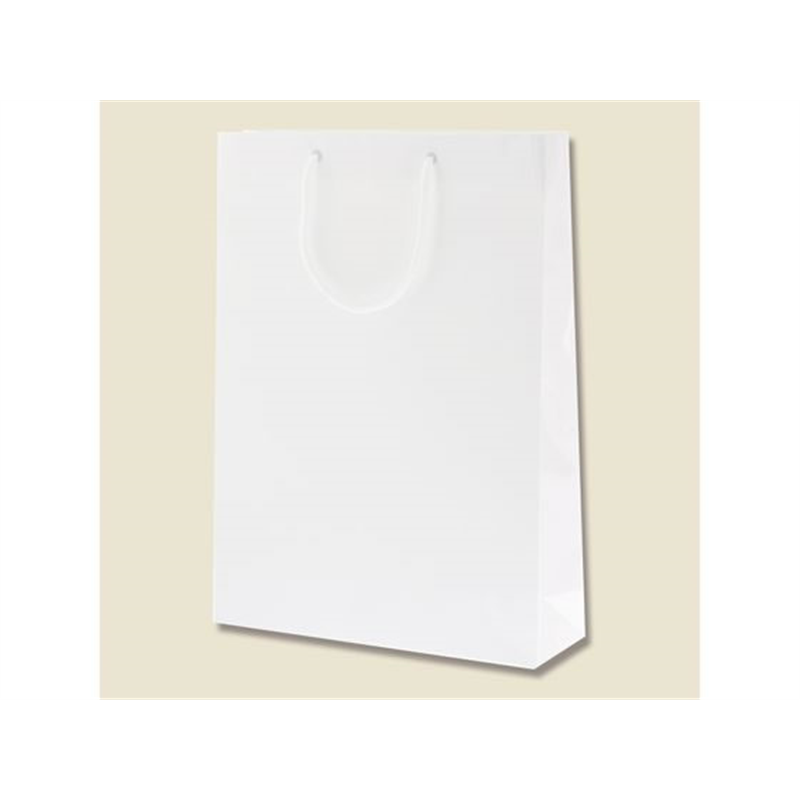 ヘイコー 手提げ紙袋 ブライトバッグ G2 白 10枚 006138001 1パック（ご注文単位1パック）【直送品】