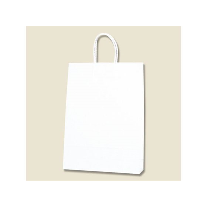 ヘイコー 紙袋 スムースバッグ 2才 白無地 25枚 003157300 1束（ご注文単位1束）【直送品】