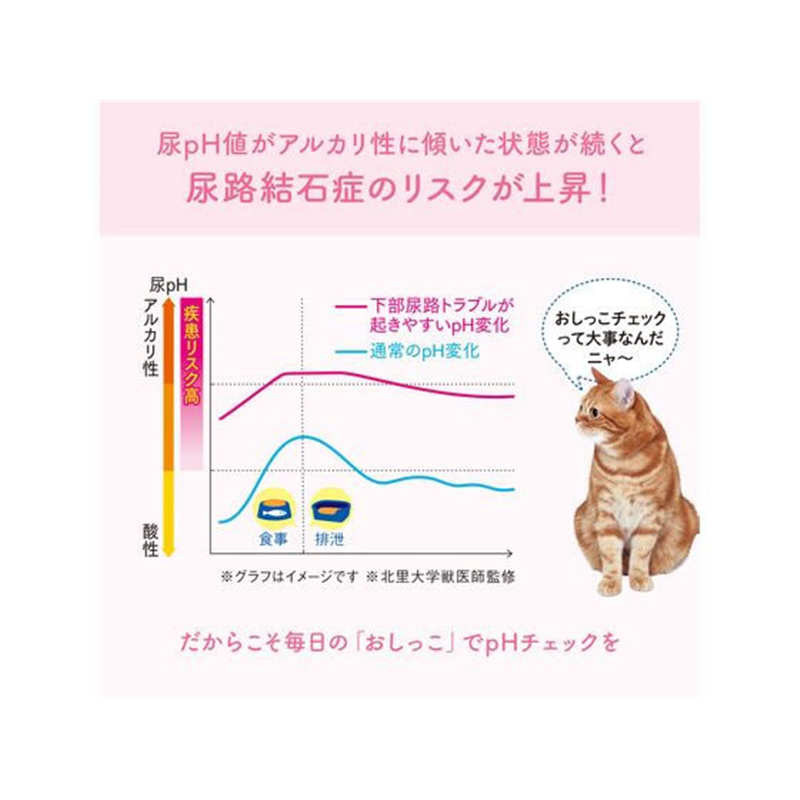 大王製紙 おしっこチェックできる 固まる紙のネコ砂 5L 10袋 1箱（ご注文単位1箱）【直送品】