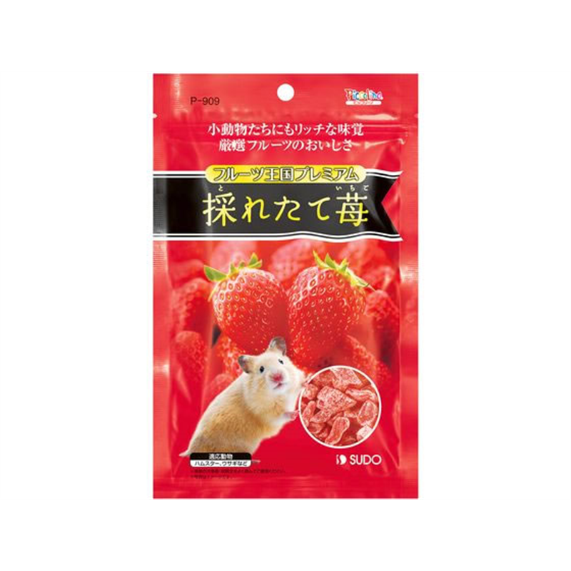 スドー フルーツ王国 プレミアム 採れたて苺 46g 1個（ご注文単位1個）【直送品】