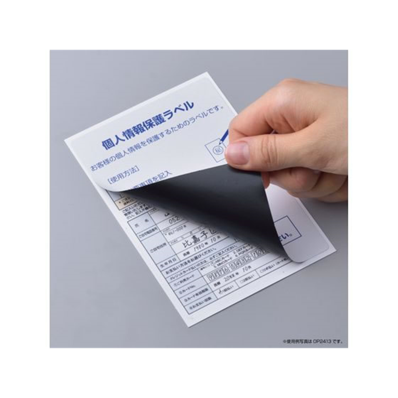 ヒサゴ 目隠しラベル・返送用 はがき全面100枚 GB2413 1冊(ご注文単位1冊)【直送品】