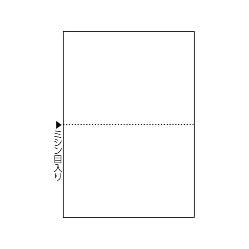 ヒサゴ マルチプリンタ帳票 A5 白紙 2面 100枚 FSC2054 1冊(ご注文単位1冊)【直送品】