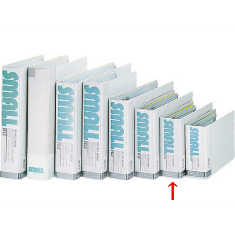 ライオン事務器 スモールファイル(NFシリーズ)A5ヨコ 背幅60mmライトグレー 1冊（ご注文単位1冊）【直送品】