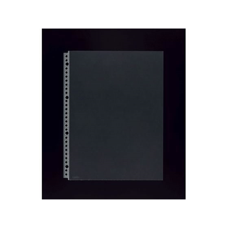 ライオン事務器 クリアーポケット A4タテ 10枚 CL-303AB 14792 1パック（ご注文単位1パック）【直送品】