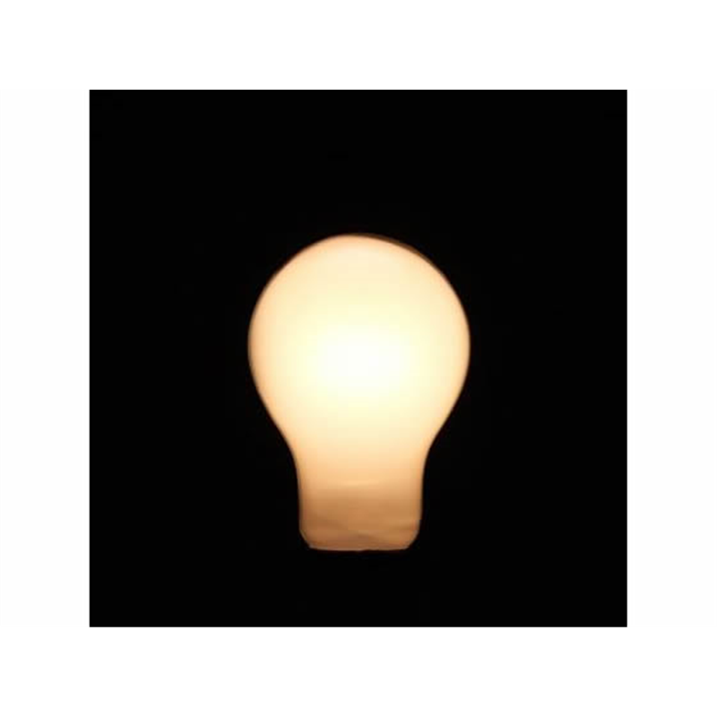 ヤザワコーポレーション 長寿命シリカ 40W形 2個 LW100V40WWL2P 1パック（ご注文単位1パック）【直送品】